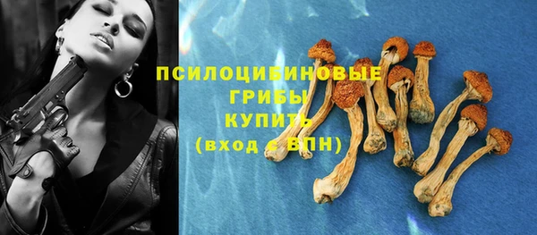 гашик Баксан
