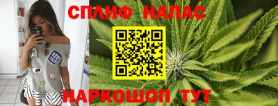 ГАЛЛЮЦИНОГЕННЫЕ ГРИБЫ Берёзовский