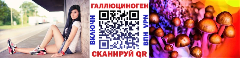 мориарти формула купить наркоту Воскресенск Псилоцибиновые грибы Psilocybe