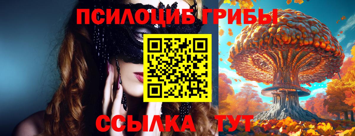 где купить наркоту  Воскресенск  Галлюциногенные грибы мухоморы 